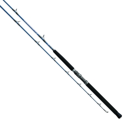 Vara de carretilha Daiwa Harrier X Jigging 58 80+ Libras