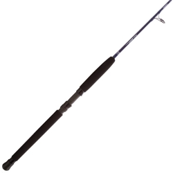 Vara de molinete Temple Fork Seahunter 66 30-40 lbs